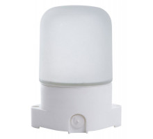 Накладной светильник Feron НББ 01-60 41406