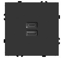 Розетка USB и type C без рамки Stekker RST10-5115-05 49853