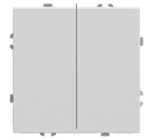 Выключатель двухклавишный без рамки Stekker RSW10-5107-01 49869