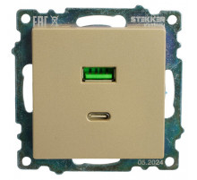 Розетка 2хUSB type A и C без рамки Stekker Катрин 50053