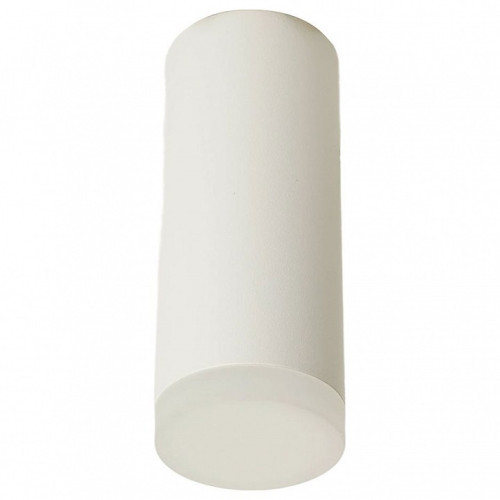 Накладной светильник Feron ML102 51389