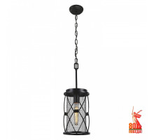 Подвесной светильник Favourite Mesh 1783-1P