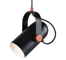 Подвесной светильник Favourite Ampolla 2007-1P