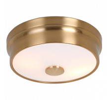 Накладной светильник Favourite Pannikin 2375-2C