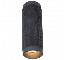 Накладной светильник Favourite Kinescope 2452-1C