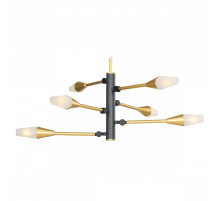 Подвесная люстра Favourite Incognita 2565-6P