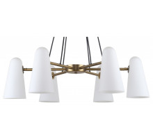 Подвесная люстра Favourite Vision 2763-6P