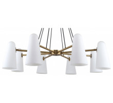 Подвесная люстра Favourite Vision 2763-8P