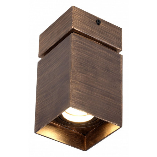 Накладной светильник Favourite Retro 2794-1U