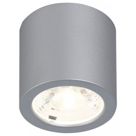 Накладной светильник Favourite Deorsum 2808-1C