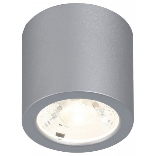 Накладной светильник Favourite Deorsum 2808-1C