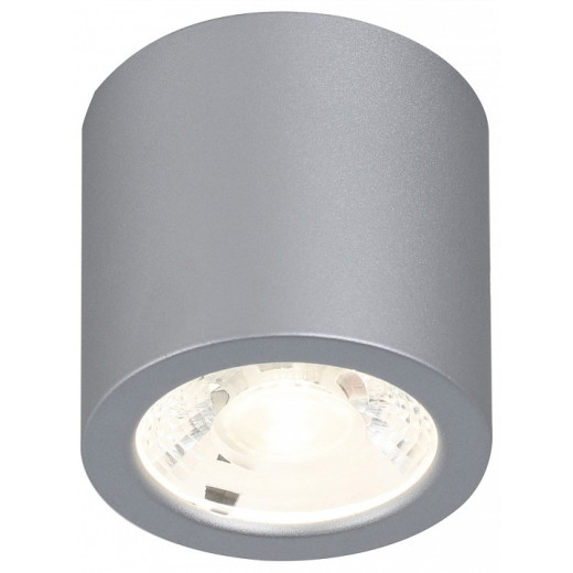 Накладной светильник Favourite Deorsum 2808-1C