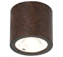 Накладной светильник Favourite Deorsum 2809-1C