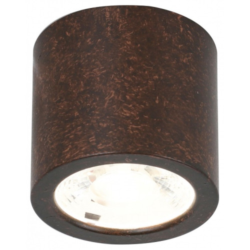 Накладной светильник Favourite Deorsum 2809-1C