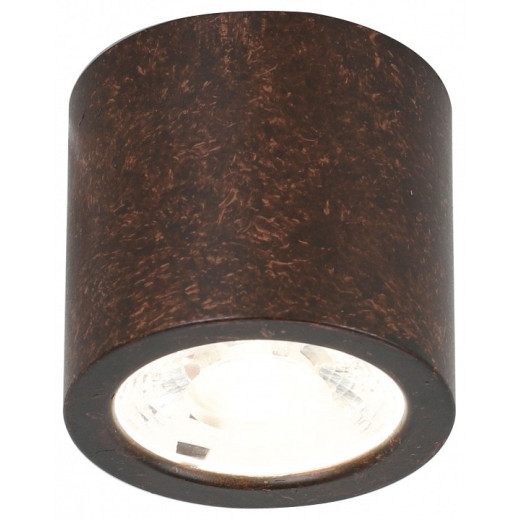 Накладной светильник Favourite Deorsum 2809-1C