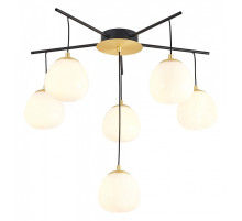 Потолочная люстра Favourite Paramount 3047-6P