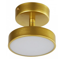 Светильник на штанге F-promo Atma 3059-1P