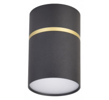 Накладной светильник Favourite Dunia 3068-1C