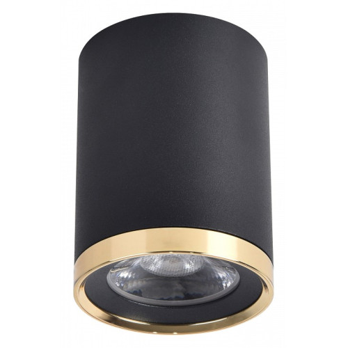 Накладной светильник Favourite Prakash 3086-1C