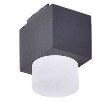 Накладной светильник Favourite Unika 4153-1U