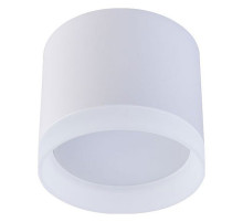 Накладной светильник Favourite Soiree 4215-1C