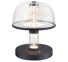 Настольная лампа декоративная Favourite Flaska 4312-1T