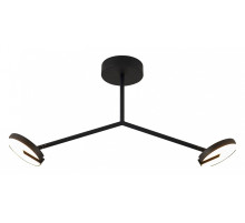 Светильник на штанге Favourite Paritet 4401-2C