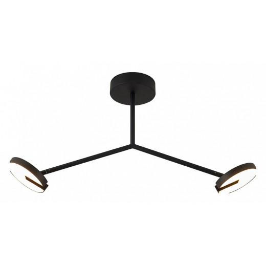 Светильник на штанге Favourite Paritet 4401-2C