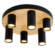 Накладной светильник F-promo Olson 4431-6U