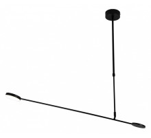 Светильник на штанге Favourite Vorago 4572-1C