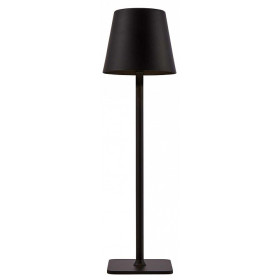 Настольная лампа декоративная F-promo Pyari 4615-1T