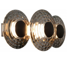 Накладной светильник Favourite Claros 4642-3W