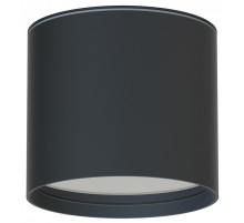 Накладной светильник Favourite Fantum 4663-1U