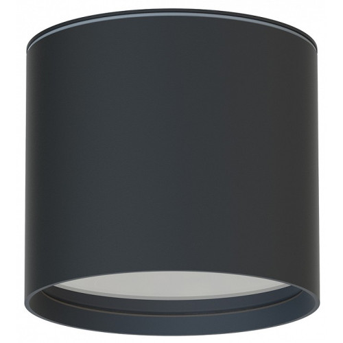 Накладной светильник Favourite Fantum 4663-1U