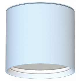 Накладной светильник Favourite Fantum 4664-1U