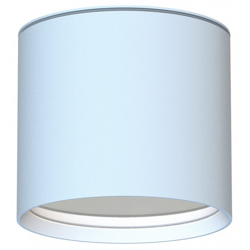 Накладной светильник Favourite Fantum 4664-1U