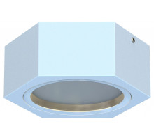 Накладной светильник Favourite Fantum 4665-1U