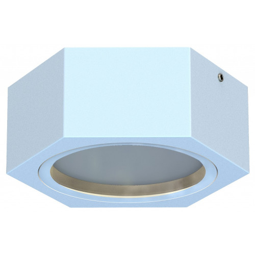 Накладной светильник Favourite Fantum 4665-1U