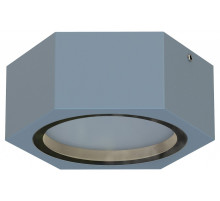 Накладной светильник Favourite Fantum 4666-1U