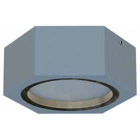 Накладной светильник Favourite Fantum 4666-1U