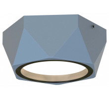 Накладной светильник Favourite Fantum 4669-1U