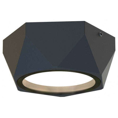 Накладной светильник Favourite Fantum 4670-1U