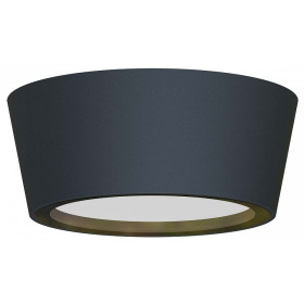 Накладной светильник Favourite Fantum 4675-1U