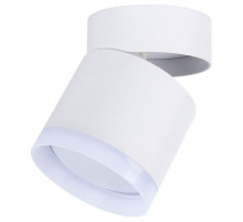 Накладной светильник Favourite Dixi 4709-1C