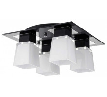 Накладной светильник Lussole Lente GRLSC-2507-04