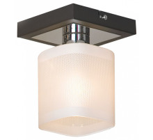 Светильник на штанге Lussole Costanzo GRLSL-9007-01