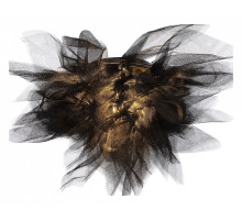 Накладной светильник Lussole Clarksville GRLSP-8727