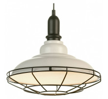 Подвесной светильник Lussole Binghamton GRLSP-9848