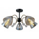 Люстра на штанге ILLUMICO  IL0230-5CSQ-29 BK AB