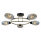 Потолочная люстра ILLUMICO  IL0300-5CSQ-79 BK AB